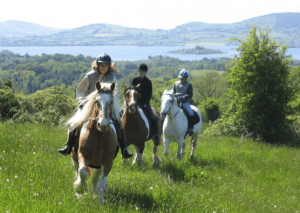 Hästar i grönt landskap